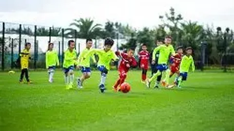 MG电子 产品 003953 9yb