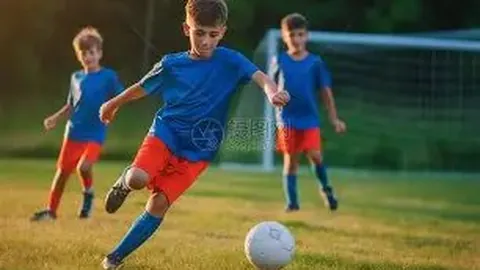 文明观赛，球迷助力，共尊赛场判决